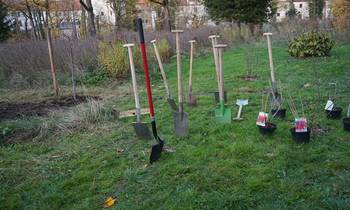 Urban Gardening