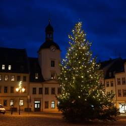 Weihnachtsbaum erstrahlt auf dem Glauchauer Marktplatz